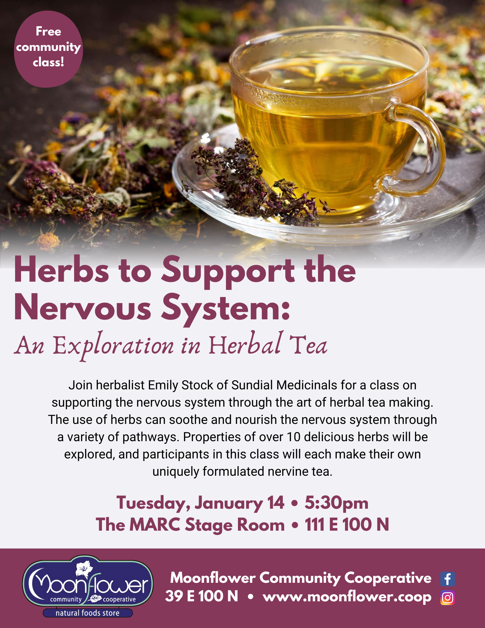 Herbs to Support the Nervous System: An Exploration in Herbal Tea