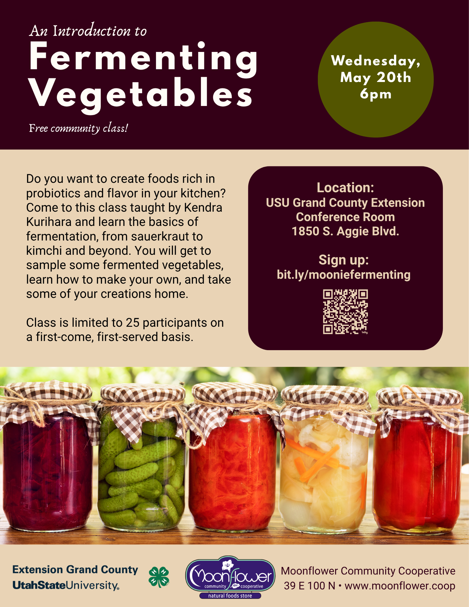 Intro to Fermented Vegetables