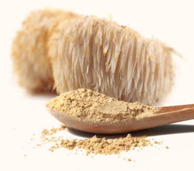 Lion's mane mushroom powder