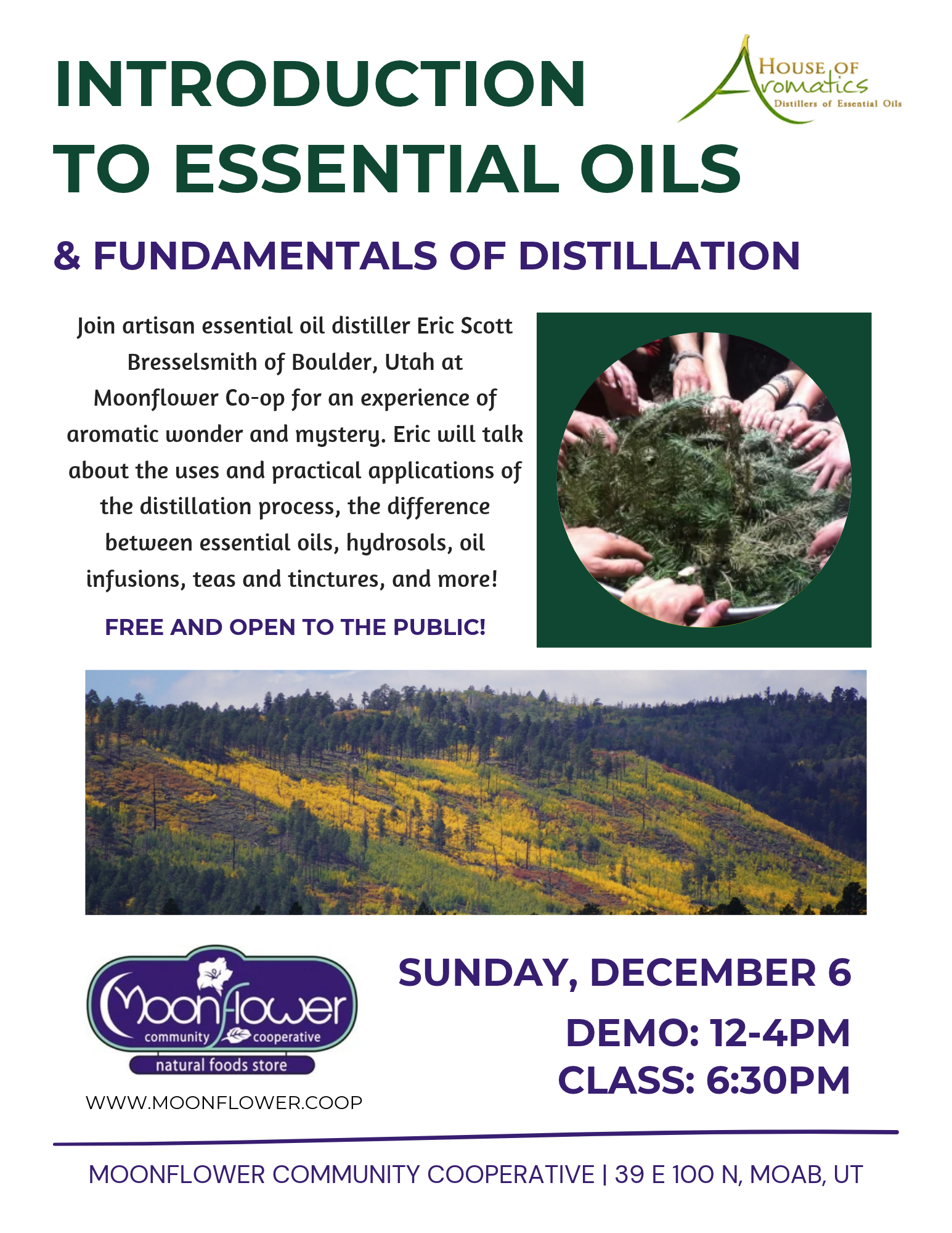 2026 Introduction to Essential Oils